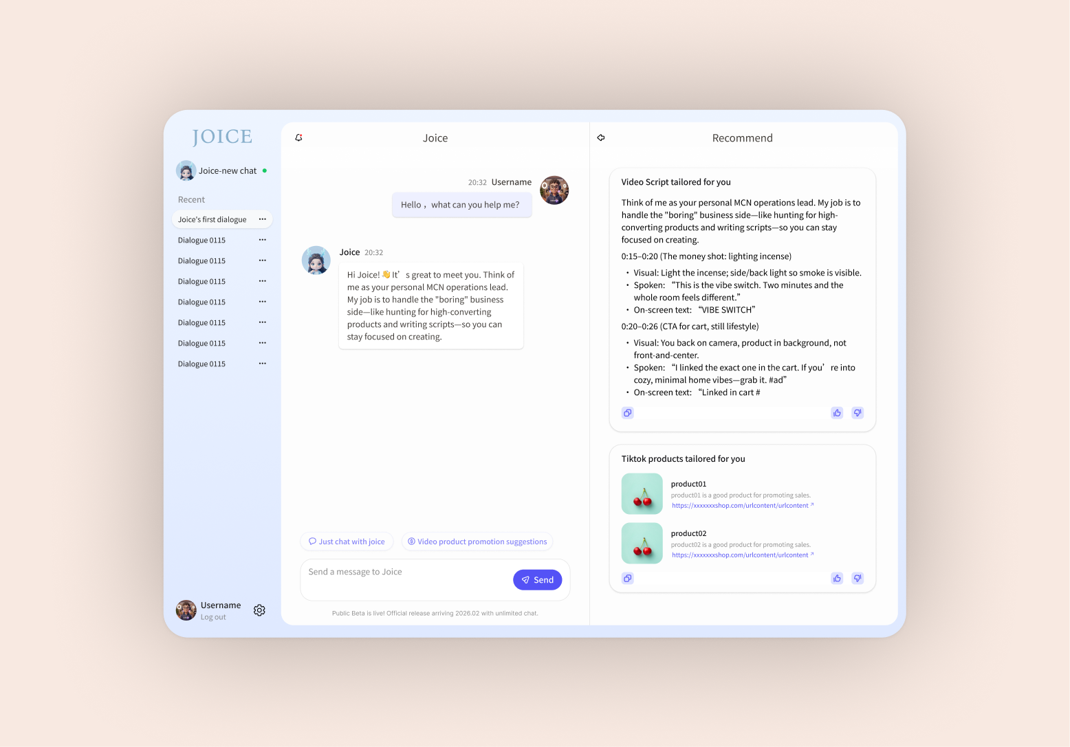 Joice Dashboard Interface